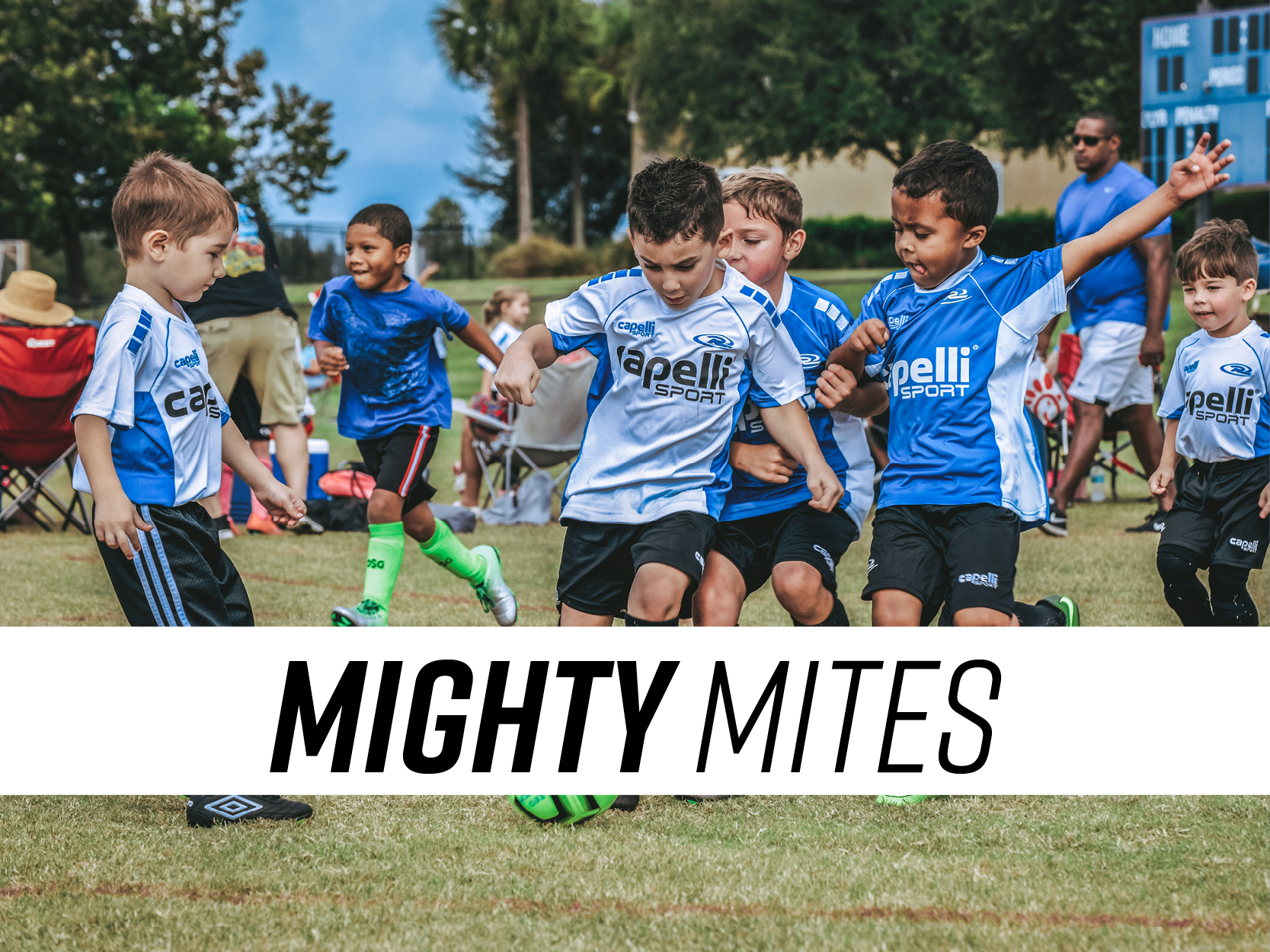 Mighty Mites2