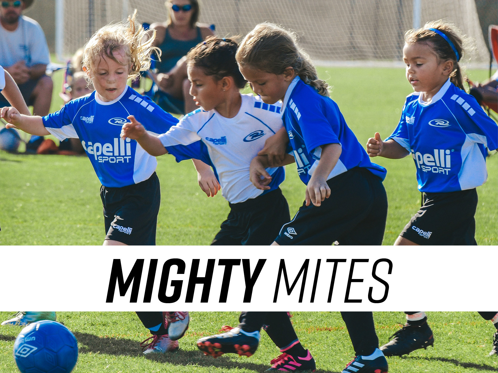 Mighty Mites3
