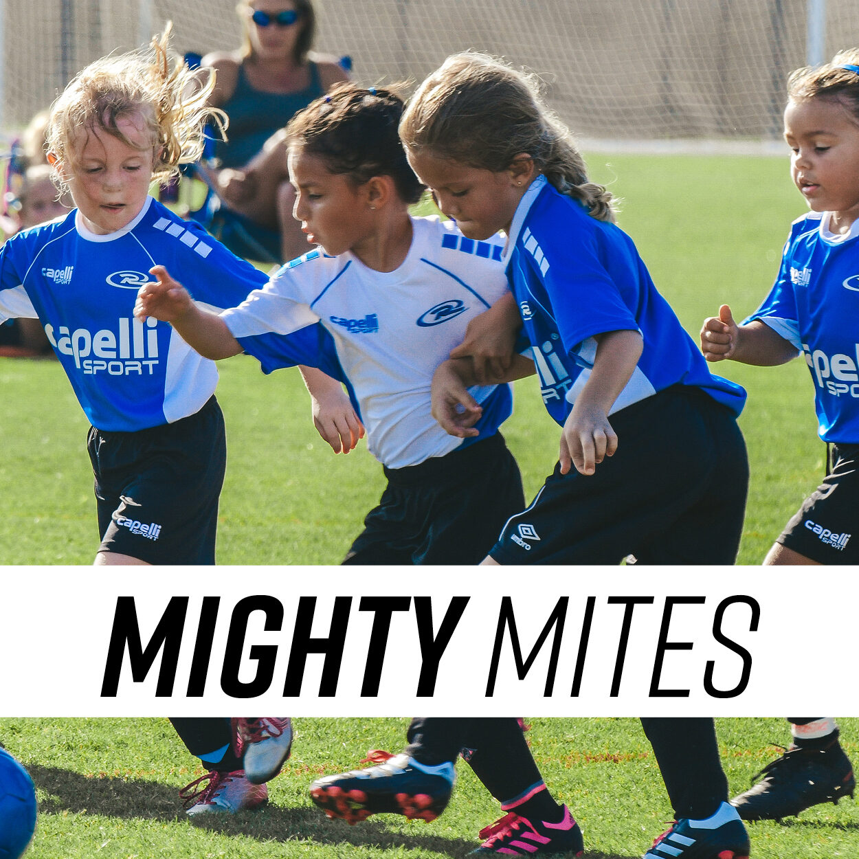Mighty Mites3